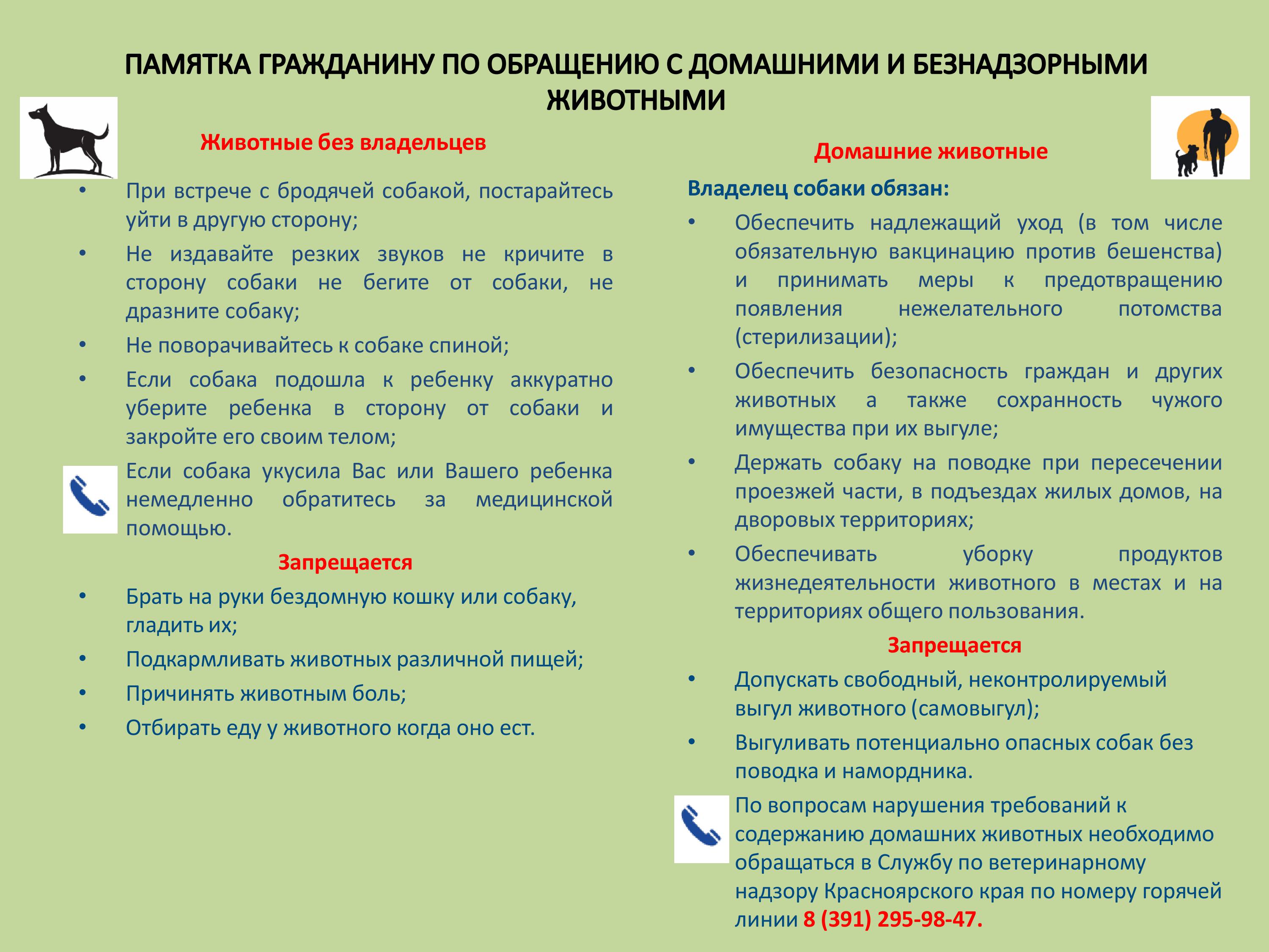 Памятка гражданину по обращению с домашними и безнадзорными   животными.